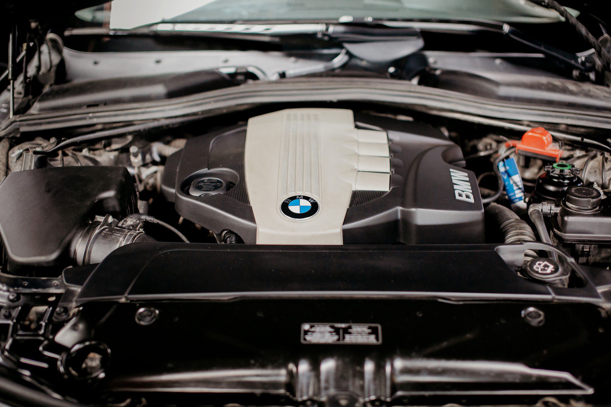 Close-up of a clean BMW engine bay, showcasing the BMW logo on the engine cover.